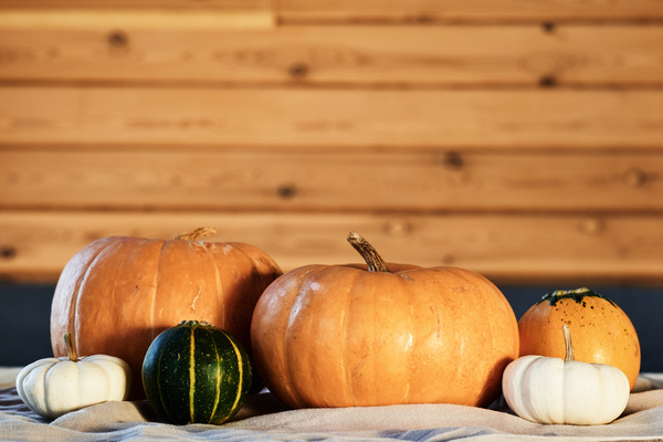 Pumpkins on Wooden Wall Background